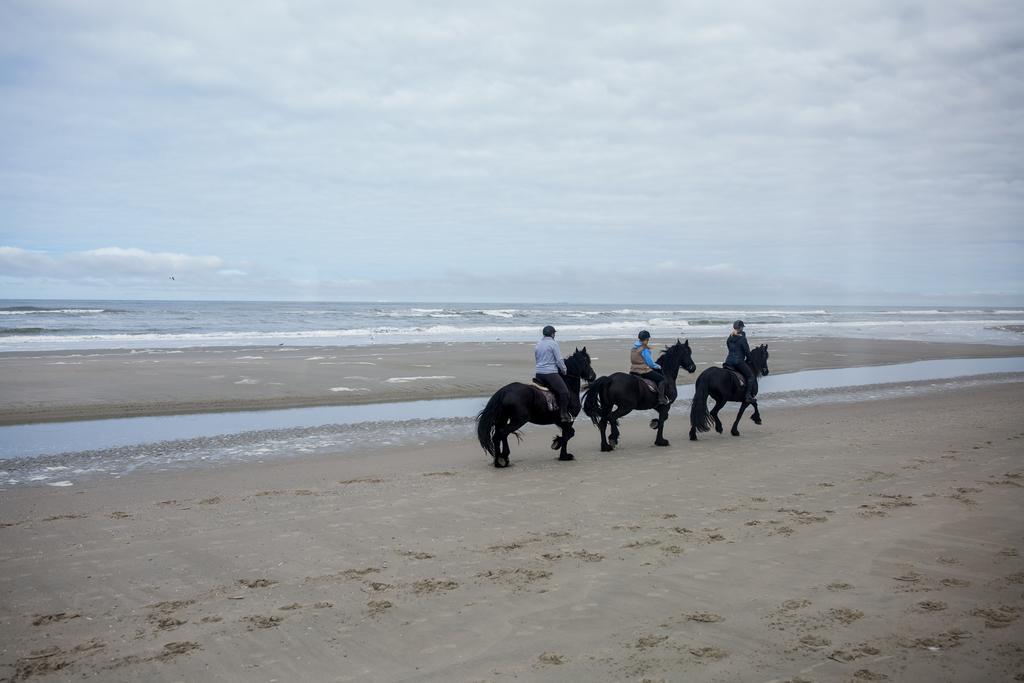 Appartementenhotel Tjermelan Terschelling Oosterend  Luaran gambar